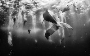 10 bức ảnh đẹp nhất cuộc thi Ảnh du lịch National Geographic 2015