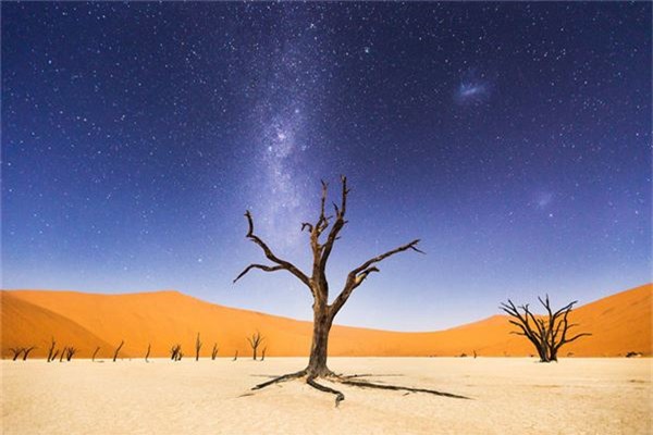 Khung cảnh huyền bí ở Deadvlei, Windhoek, Namibia, với hình ảnh cây Acacia erioloba 900 năm tuổi đã bị khô héo nhưng không bị phân hủy - Ảnh đoạt giải khuyến khích của Beth McCarley/hạng mục Cảm xúc về nơi chốn.