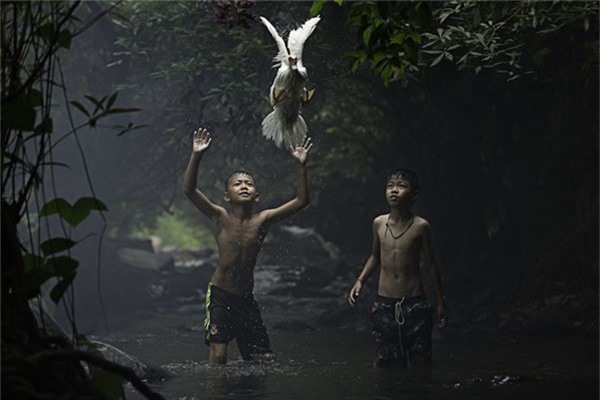 Hai cậu bé đang cố gắng bắt một con vịt tại một dòng suối ở tỉnh Nong Khai, Thái Lan - Ảnh đoạt giải khuyến khích của Sarah Wouters/hạng mục Khoảnh khắc tức thời.