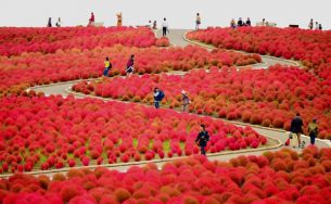 10 địa điểm lý tưởng để ngắm mùa thu khi du lịch Nhật Bản