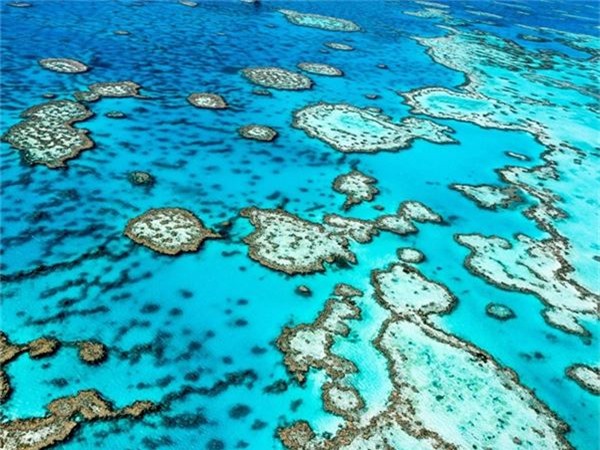 <strong>2. Great Barrier Reef, Australia: </strong>Trải dài gần 3.000 km vùng biển phía Đông Bắc Australia, đây là nơi có mạng lưới san hô lớn nhất thế giới với hàng nghìn loài cá và sinh vật biển.