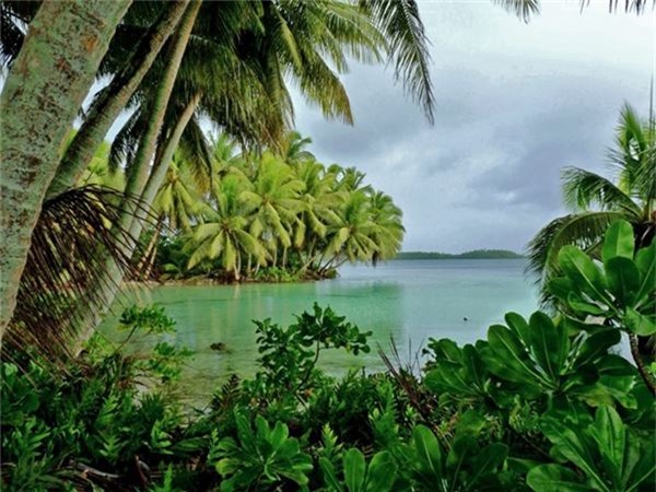 <strong>10. Palmyra Atoll </strong>nằm ở Thái Bình Dương, phía Nam của đảo Hawaii. Theo truyền thuyết, trên đảo này có một năng lượng ma thuật.