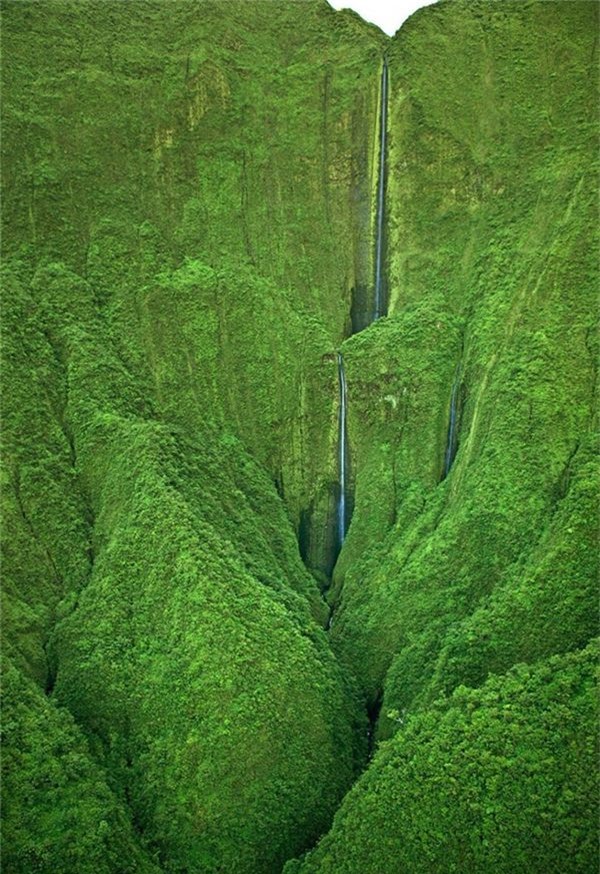 <strong>3. Thác Honokohau Falls ở Maui, Hawaii. </strong>Thác nước này được bao quanh bởi cây xanh và xung quanh là nơi sinh tồn của các loài động vật hoang dã.