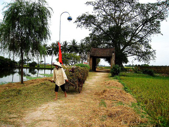 Làng cổ Đường Lâm với đặc trưng cây đa, giếng nước, sân đình