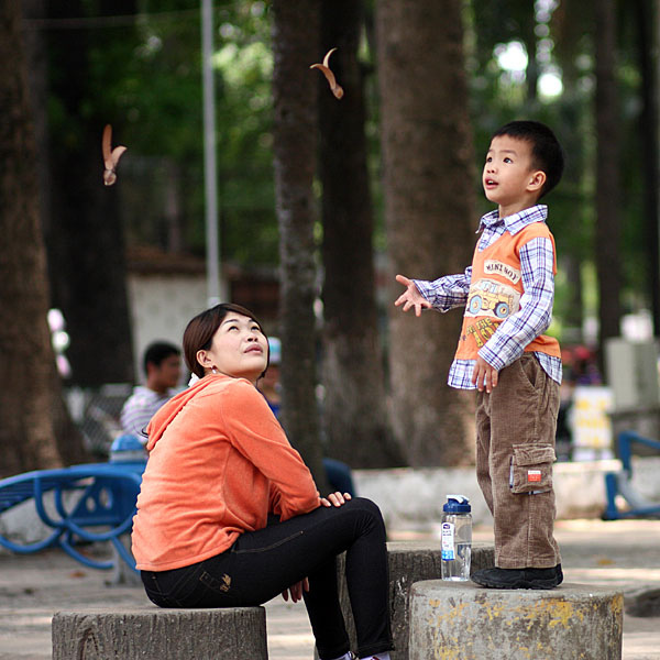 Chò nâu đã làm cho Sài Gòn thêm đẹp và không kém phần lãng mạn.