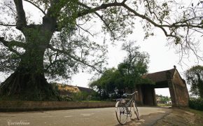 Về thăm làng cổ Đường Lâm trong ngày