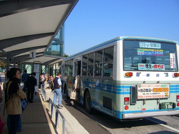 Bạn có thể di chuyển bằng xe bus...