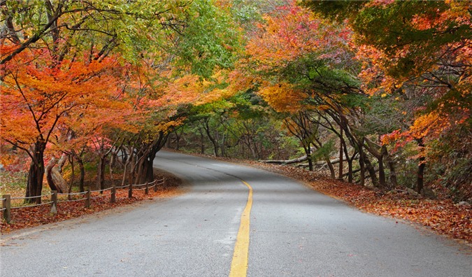 ngọn núi xinh đẹp, mùa thu Hàn Quốc, Seoraksan, Jirisan, Naejangsan, du lịch Hàn Quốc