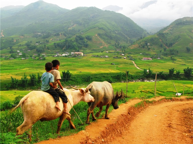 Sapa, du lịch Sapa, bản Tả Van, bản Tả Phìn, bản Cát Cát, bản Hồ, bản làng, bản Sín Chải