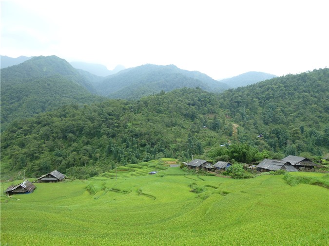 Sapa, du lịch Sapa, bản Tả Van, bản Tả Phìn, bản Cát Cát, bản Hồ, bản làng, bản Sín Chải