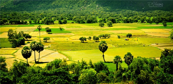 điểm đến tháng 8, du lịch Thanh Hóa, du lịch Đà Nẵng, du lịch Nha Trang, Quảng Bình, An Giang