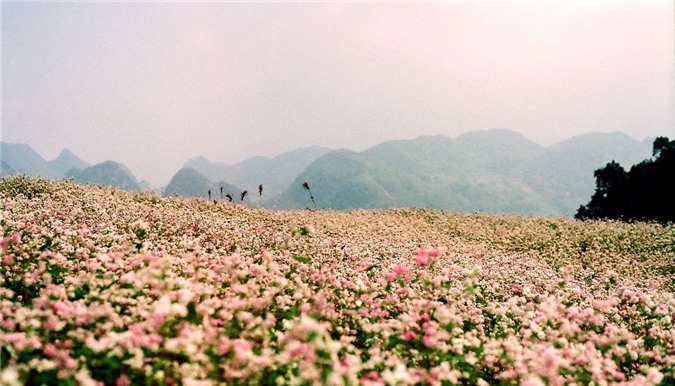 Hà Giang, Phan Thiết, Tây Nam Bộ, Đà Lạt, Phú Quốc, điểm đến tháng 10