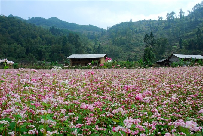 Hà Giang, Phan Thiết, Tây Nam Bộ, Đà Lạt, Phú Quốc, điểm đến tháng 10