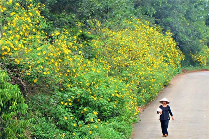 Hà Giang, Phan Thiết, Tây Nam Bộ, Đà Lạt, Phú Quốc, điểm đến tháng 10