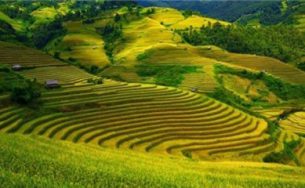 5 điểm du lịch ngắm ruộng bậc thang tuyệt đẹp