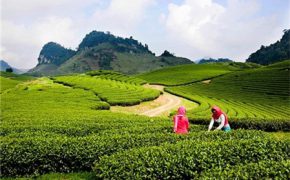 5 điểm du lịch phượt cho giới trẻ nhân dịp 30/4 – 1/5