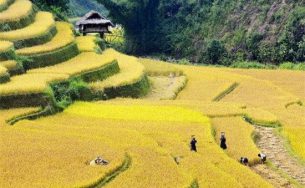 5 máy ảnh siêu zoom cho phượt thủ