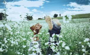 Hoa cải trắng đâu chỉ có ở Mộc Châu