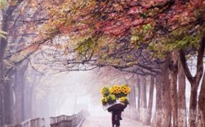 8 địa điểm du lịch đi hoài không chán