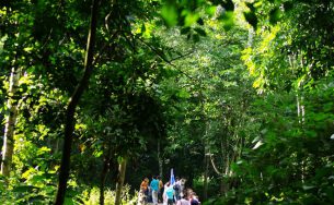 Trên nẻo đường Tây Bắc