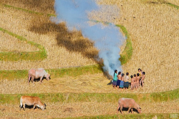 mù cang chải