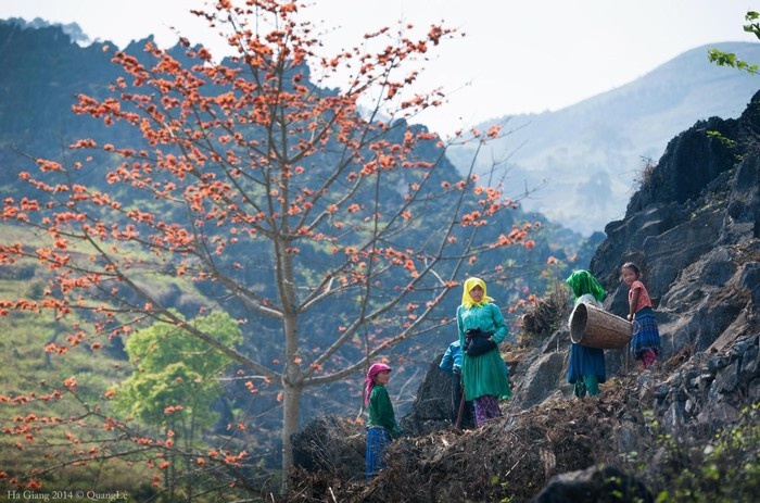 Cuộc sống của người dân trên cao nguyên đá Đồng Văn