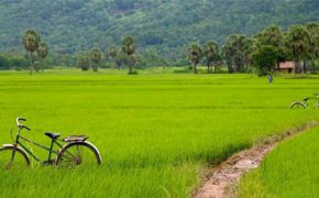 Báo Pháp bình chọn 10 điều hấp dẫn nhất Việt Nam