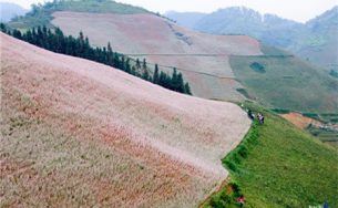 Các địa danh đẹp và lạ nên đến trong năm 2016