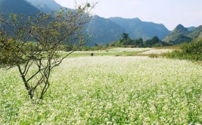 Các điểm du lịch bụi gần Hà Nội cho giới trẻ