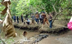 Cẩm nang cho chuyến du lịch xứ dừa Bến Tre