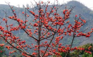 Cẩm nang du lịch Buôn Ma Thuột, Đắk Lắk