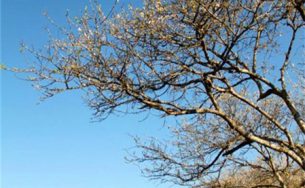 Cẩm nang du lịch bụi Sơn La