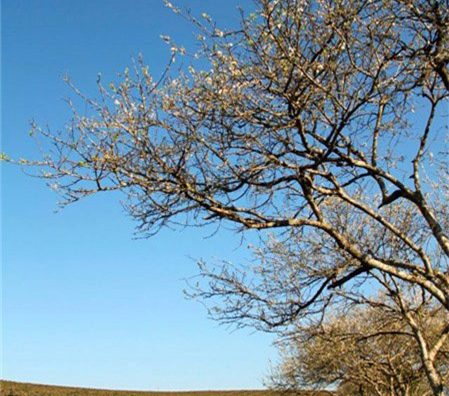 Cẩm nang du lịch bụi Sơn La