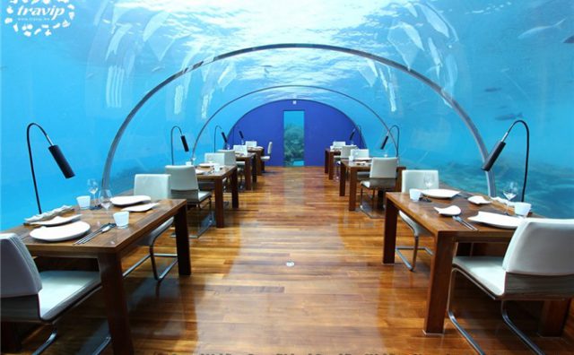 Cẩm nang du lịch thiên đường Maldives