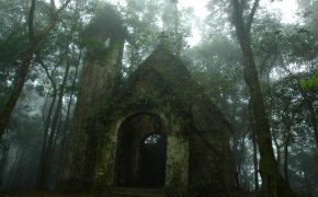 Vườn quốc gia Ba Vì