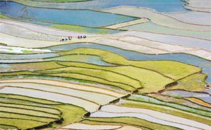 Đẹp kỳ vĩ ruộng bậc thang Tú Lệ, Cao Phạ mùa nước đổ sớm