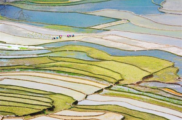 Đẹp kỳ vĩ ruộng bậc thang Tú Lệ, Cao Phạ mùa nước đổ sớm