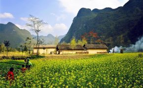 Đẹp ngỡ ngàng mùa vàng Đông Tây Bắc