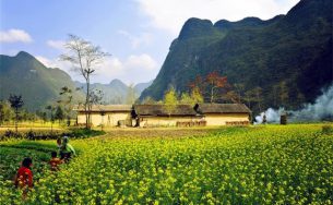 Đẹp ngỡ ngàng mùa vàng Đông Tây Bắc