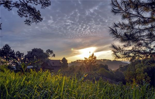 Nằm cách trung tâm thành phố Đà Lạt 15 km, núi Voi những năm gần đây là sự lựa chọn yêu thích cho những người muốn thoát khỏi phố xá ồn ào, chật chội trong kỳ nghỉ ngắn hạn 2 - 3 ngày.