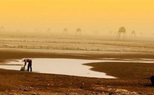 Đồng Châu buổi sớm mai