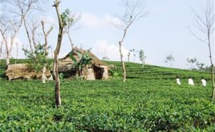 Du lịch phượt – Những cung đường Miền Trung