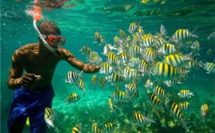 Du lịch quốc đảo Jamaica xanh mát