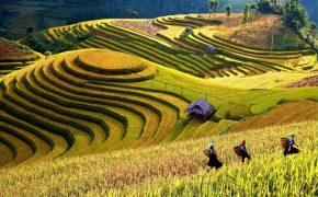 Kinh nghiệm du lịch Yên Bái