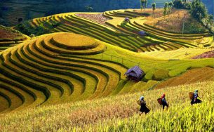 Kinh nghiệm du lịch Yên Bái