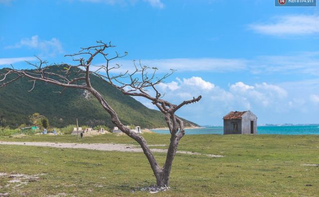 Du lịch biển đảo Điệp Sơn – Hòn đảo hot nhất hè nưm 2016 này