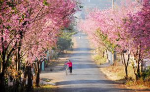 Những thiên đường du lịch làm say lòng người trong mùa xuân