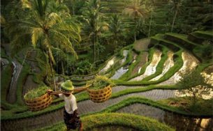 Giải đáp 10 câu hỏi thường gặp khi du lịch đảo Bali