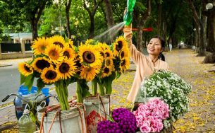 Hà Nội ngọt ngào giữa thu