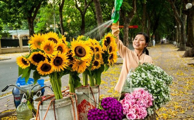 Hà Nội ngọt ngào giữa thu